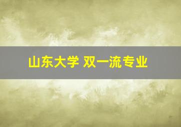 山东大学 双一流专业